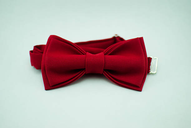 istock Trendy fashionable red bow tie; isolated 638065694