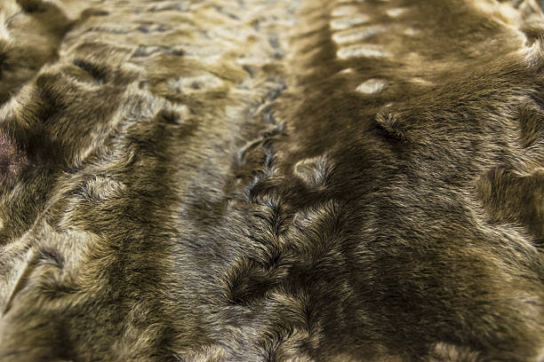a pele é cinza marrom karakul textura pele de cordeiro, fundo - lamb softness fur wool - fotografias e filmes do acervo