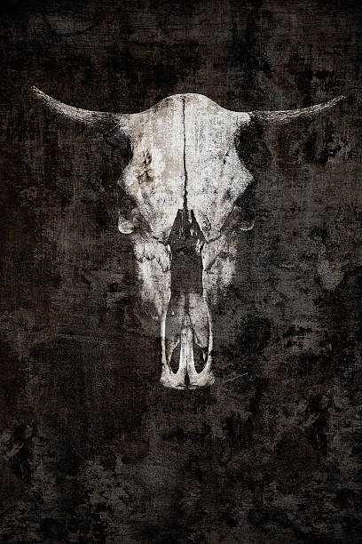istock The ghostly skull of a bull on a black background 638066602