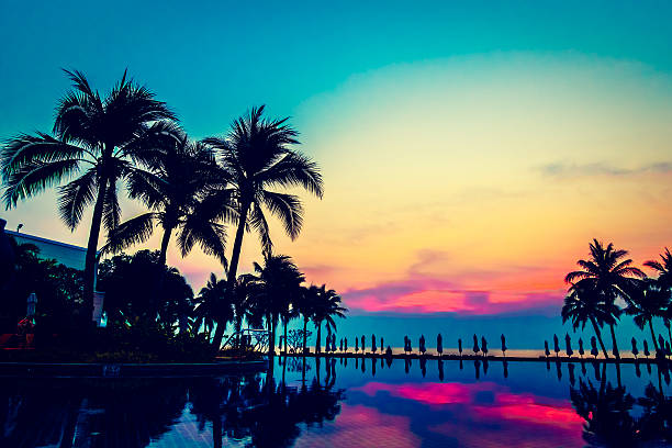 istock Silhouette palm tree on the swimming pool 638066628