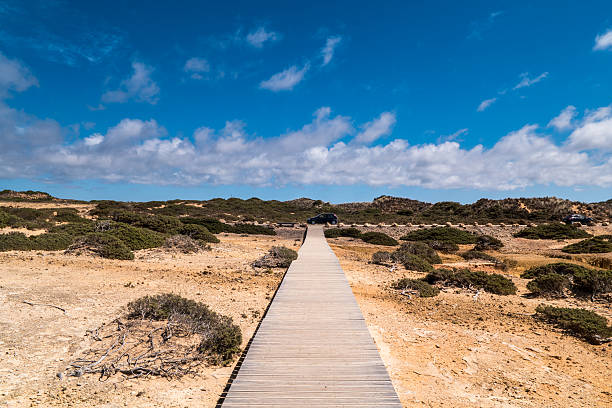 istock Portugal - Wooden path on the beach 638066696
