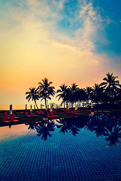 istock Silhouette palm tree on the swimming pool 638067024