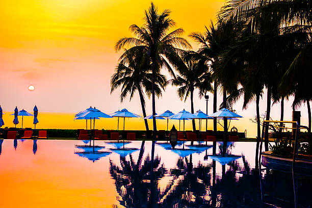 istock Silhouette palm tree on the swimming pool 638067126