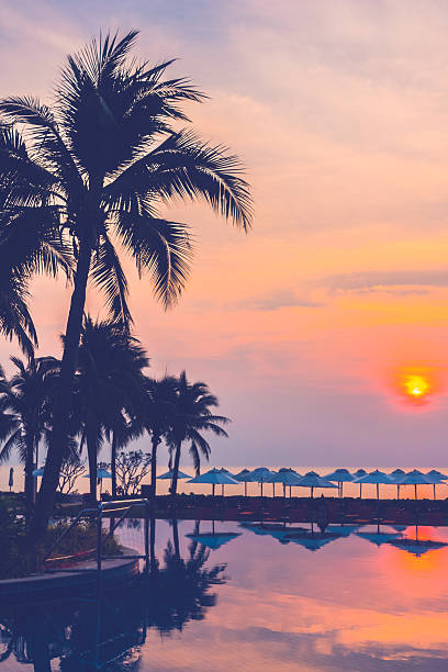 istock Silhouette palm tree on the swimming pool 638068788