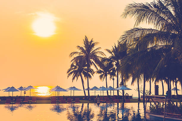 istock Silhouette palm tree on the swimming pool 638069840