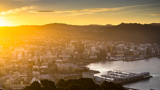Great Panorama of Wellington City Center and Port with buildings, ships and the ocean and surrounded by a forested mountain. Photo taken from top of Mount Victoria (Tangi-ke-teo) in New Zealand.