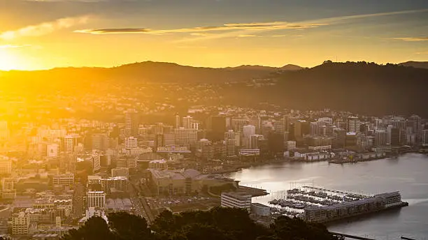 View of Wellington, New Zealand from Mount Victoria, with the marina and Te Aro neighborhood in the center. Golden light bathes the city as the sun hits the horizon in the evening. Still taken from time lapse video #615130190.