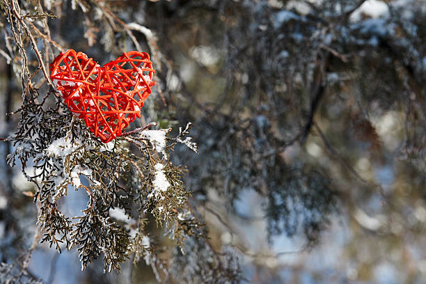 istock Red valentine heart on a snowy tree 638072272