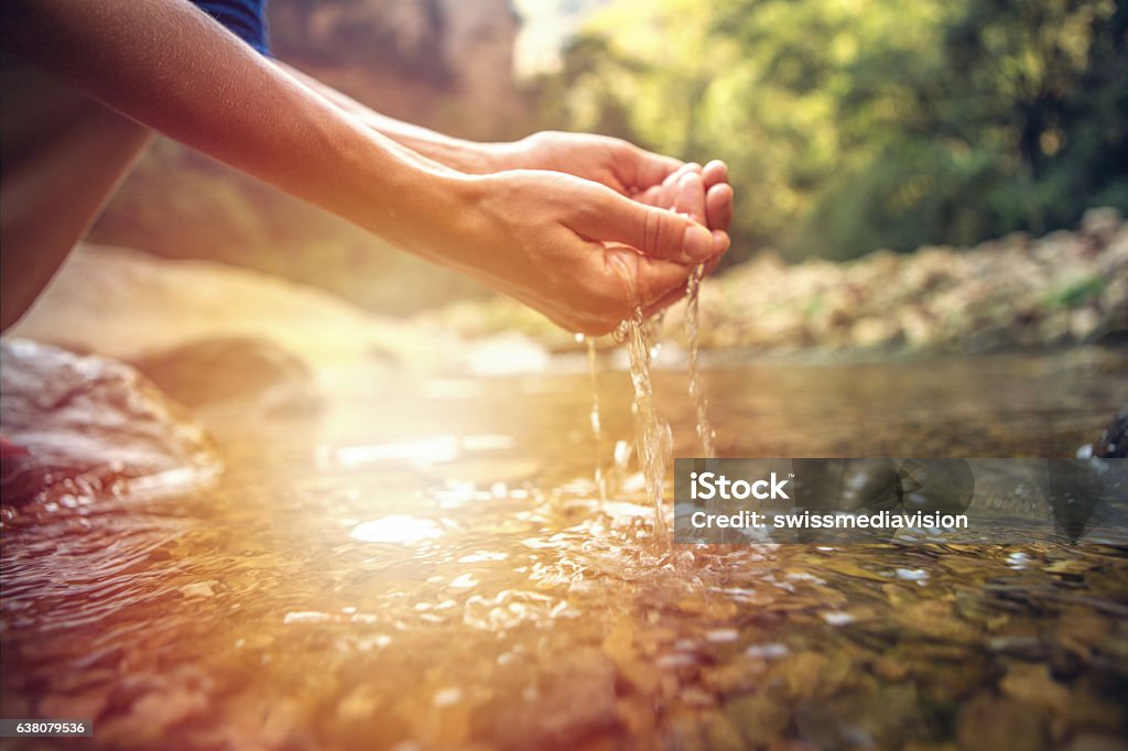 Coupe à la main humaine pour attraper l’eau douce de la rivière - Photo de Eau libre de droits