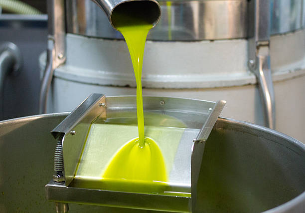 Fresh-Pressed Olive Oil Pouring From Olive Press Spout stock photo