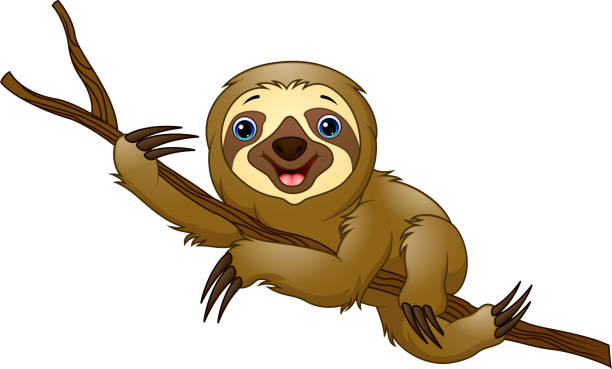 bildbanksillustrationer, clip art samt tecknat material och ikoner med cartoon sloth on a tree branch - happy slowmotion