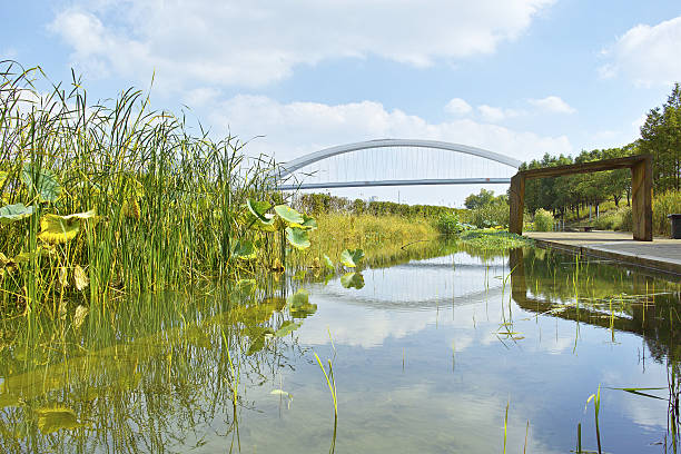 istock shanghai lupu bridge from across the huangpu river 638081430