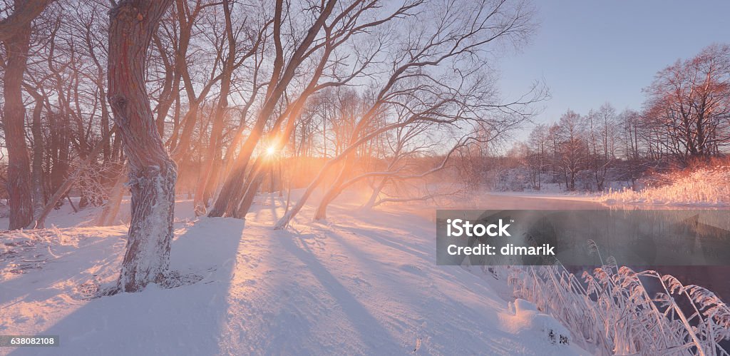 Sunny winter background with sun rays Sunny winter landscape. Sunny winter background with sun rays. Bright sunrise in winter. Sunlight with lens flare illuminate white soft snow. Backgrounds Stock Photo
