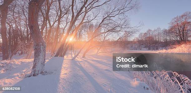 Sunny Winter Background With Sun Rays Stock Photo - Download Image Now - Backgrounds, Beauty In Nature, Blue