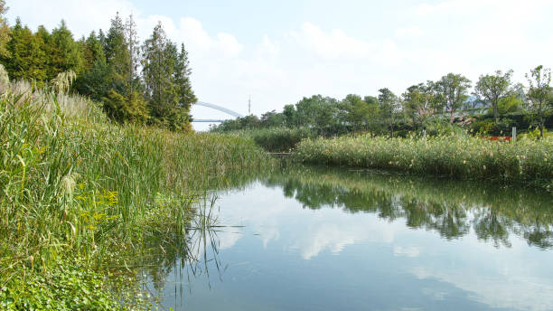 istock Beautiful lake view with reflections in water. 638085602