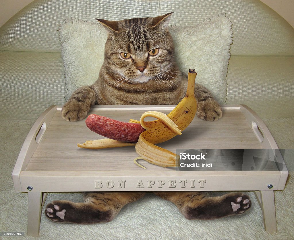 Cat in bed and banana There is a big cat in bed. He is going to eat a strange banana. This banana looks like a real sausage. Breakfast Stock Photo