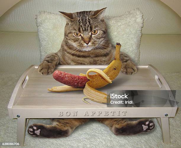 Cat In Bed And Banana Stock Photo - Download Image Now - Breakfast, Bed - Furniture, Banana