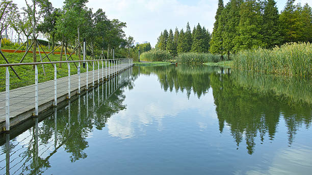 istock Beautiful lake view with reflections in water. 638087554