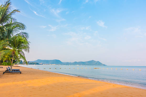 istock Beautiful beach and sea with palm tree 638087660