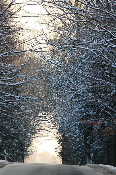 istock Straight highway in winter me snow 638092422