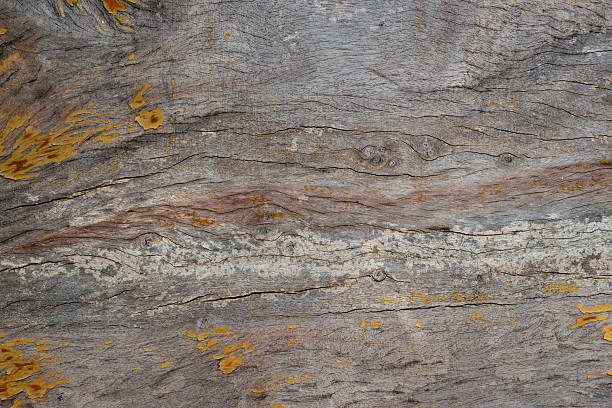 istock Peeled brown painted wood 638092724