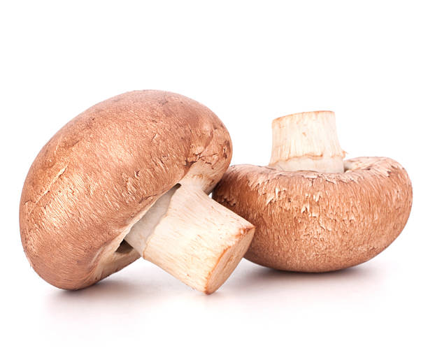 istock Brown mushroom mushroom 638093534