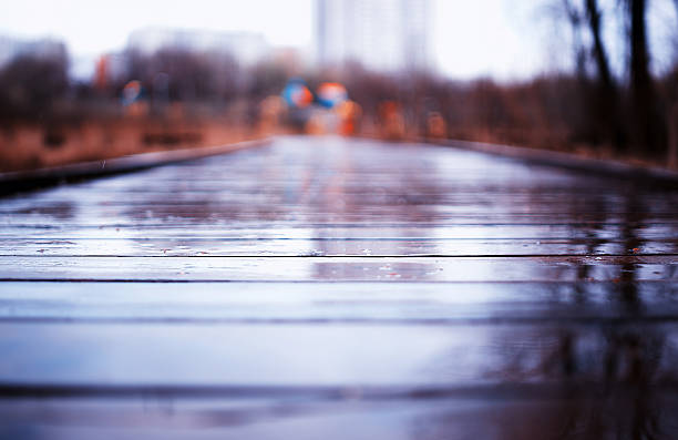 istock Wooden wet path in park bokeh background 638096158