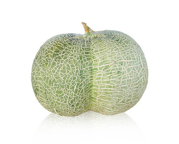 istock cantaloupe melon  isolated on white background . 638101066