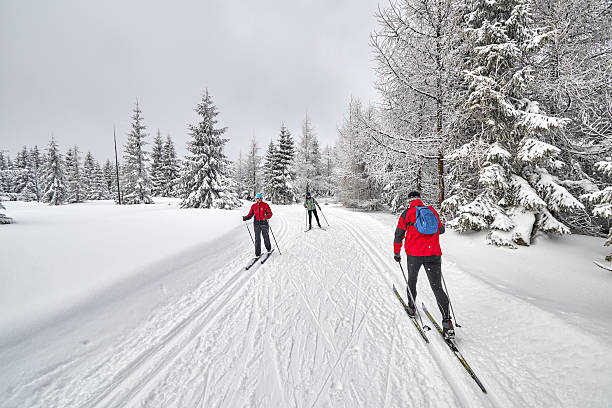 Cross-country skiers running on prepared tracks. Jakuszyce, Poland - January 6, 2017: Cross-country skiers running on prepared tracks in snow on a cloudy day. karkonosze mountain range photos stock pictures, royalty-free photos & images