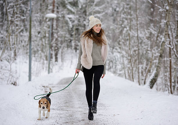 donna felice che cammina / corre con il sentiero invernale del cane beagle - snow nature sweden cold foto e immagini stock