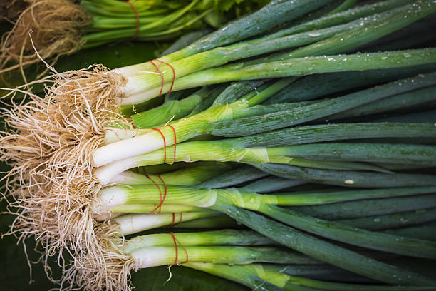 Fresh spring onion in the fresh market.