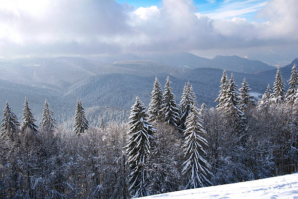 istock Colorful winter panorama in the Carpathian mountains 638113562