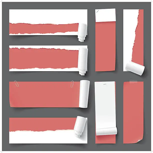 Vector illustration of 8 torn and curl paper set