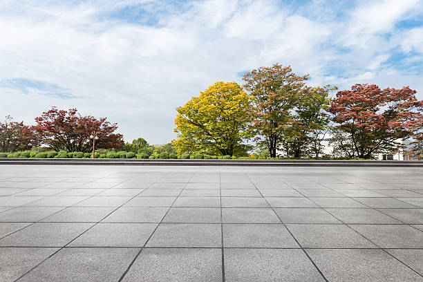 istock empty brick floor near park in cloud sky 638116076