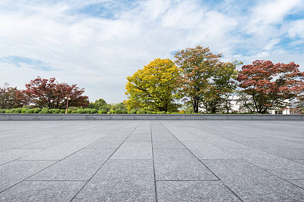 istock empty brick floor near park in cloud sky 638116176