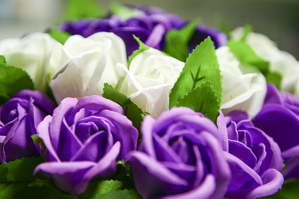 istock background of flowers. close-up 638119218