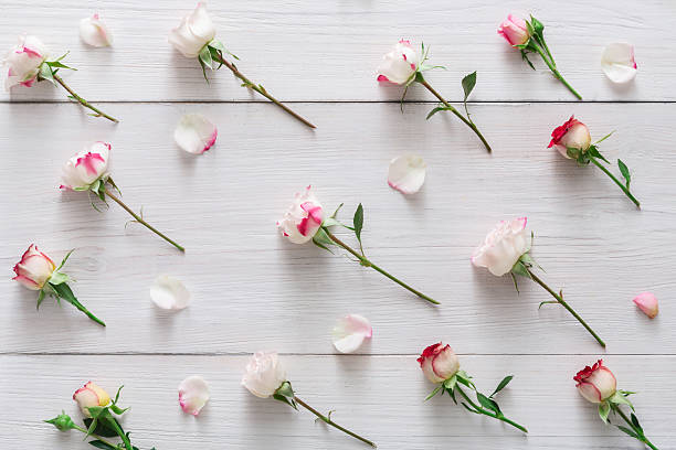 istock Valentine day background, rose flowers on white wood 638127638