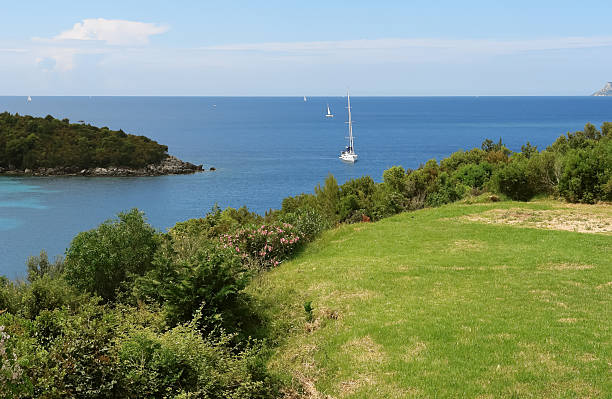 istock Green coast and yachts. 638127642