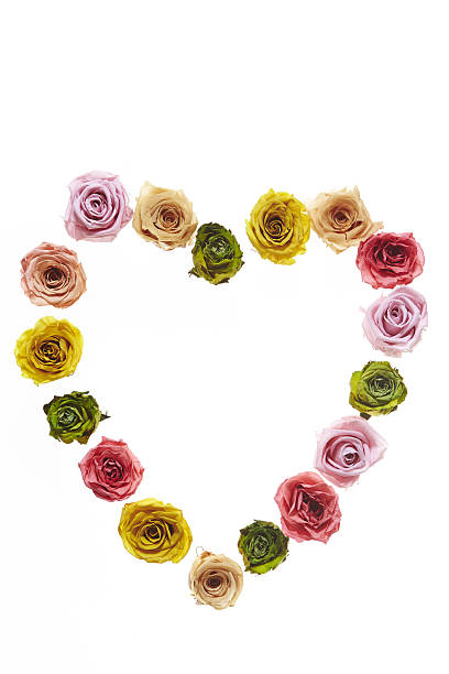istock Heart made of roses 638128828