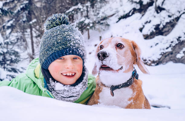 istock Boy with dog play in deep snow 638133176