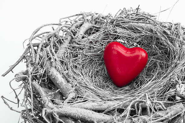 istock Red heart figure placed into a wooden nest 638134774