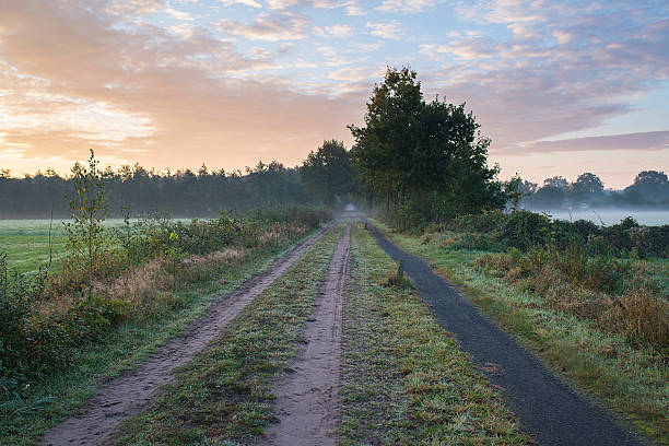 istock Path and track in misty countryside landscape. 638136168