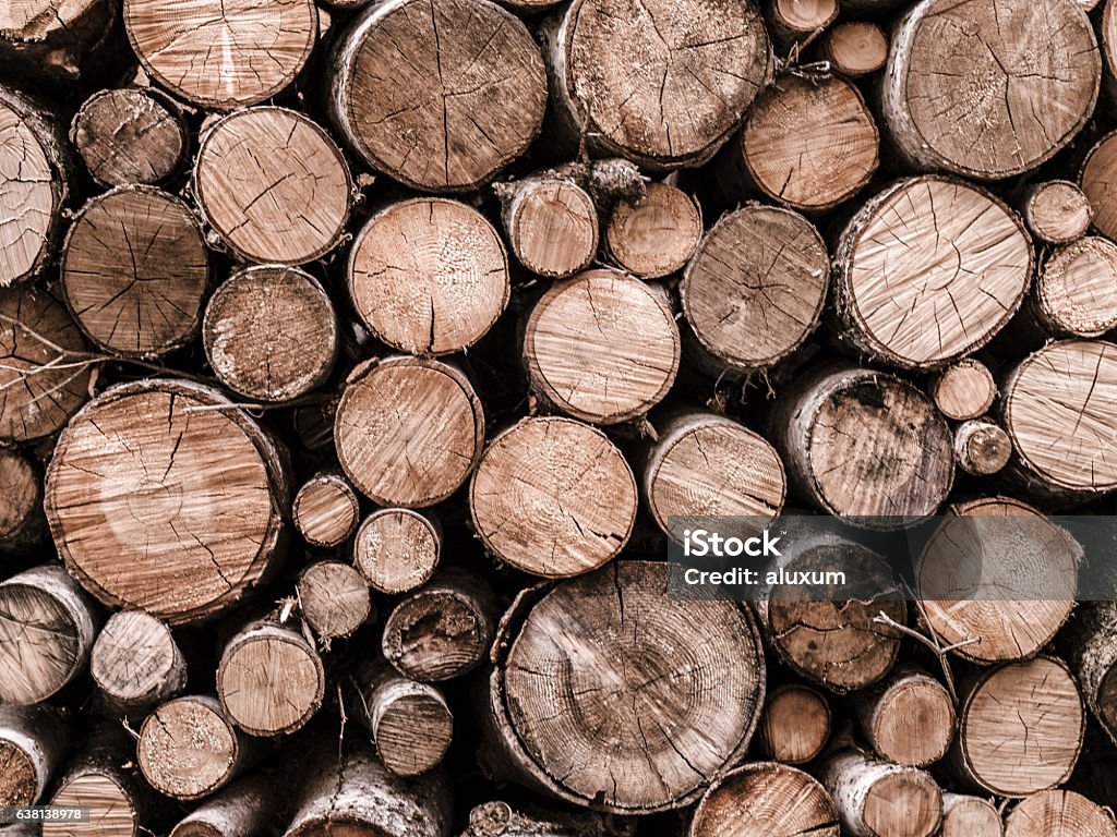 Grumes de bois empilées - Photo de Empilé libre de droits