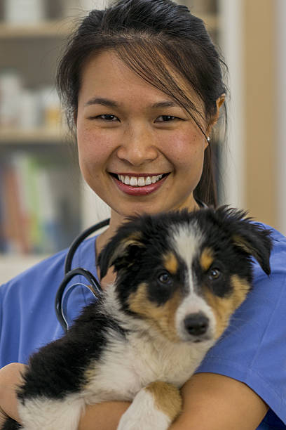 istock Veterinarian with a Puppy 638142530