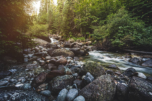 Beautiful stream in mountains Beautiful stream in mountains stream body of water stock pictures, royalty-free photos & images
