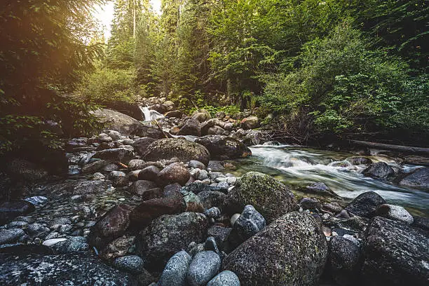 Photo of Beautiful stream in mountains