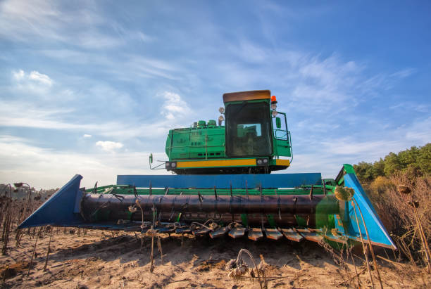 istock harvester in the field mowing sunflower seeds. 638152980
