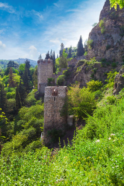 istock Narikala Castle in Tbilisi, Georgia. 638153884