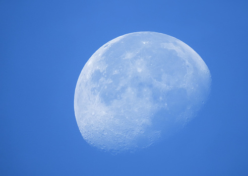 Phase of the white moon in daytime.