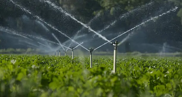 Photo of water sprinklers